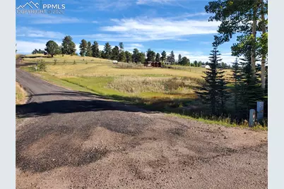 309 Pinaceae Heights, Divide, CO 80814 - Photo 13