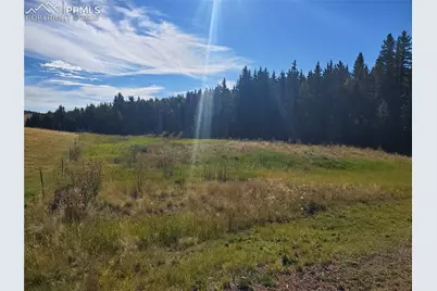 309 Pinaceae Heights, Divide, CO 80814 - Photo 3