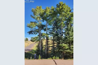 309 Pinaceae Heights, Divide, CO 80814 - Photo 21