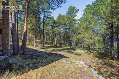 20470 Lockridge Drive, Colorado Springs, CO 80908 - Photo 47