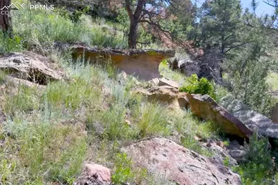 7137 Oak Valley Drive, Colorado Springs, CO 80919 - Photo 9