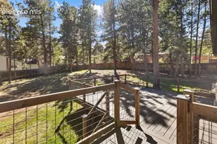 1005 W Lorraine Ave, Woodland Park, CO 80863 - Photo 25