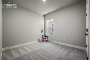 9030 Frolic Vw, Colorado Springs, CO 80924 - Photo 29