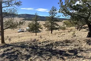 3464 Elkhorn Rd, Hartsel, CO 80449 - Photo 31