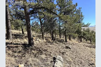 3464 Elkhorn Road, Hartsel, CO 80449 - Photo 29