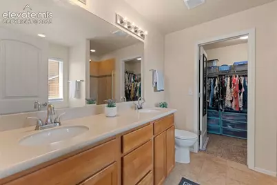 12407 Mount Bross Place, Peyton, CO 80831 - Photo 19