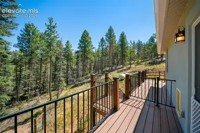 2775 Pathfinder Road, Florissant, CO 80816 - Photo 35