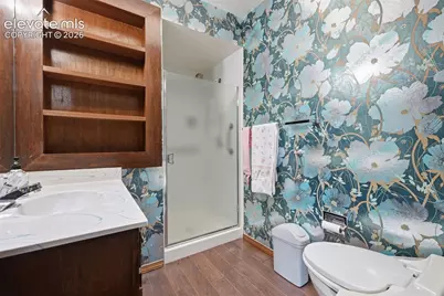 747 Carved Terrace, Colorado Springs, CO 80919 - Photo 13