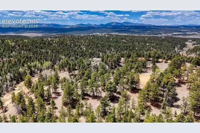 16 View Circle, Florissant, CO 80816 - Photo 5