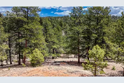 16 View Circle, Florissant, CO 80816 - Photo 1
