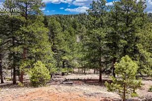 16 View Cir, Florissant, CO 80816 - Photo 1