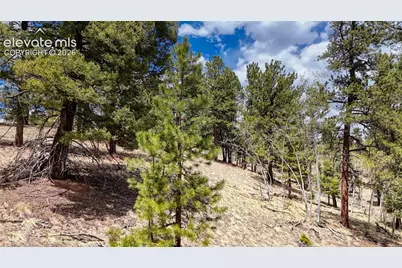 16 View Circle, Florissant, CO 80816 - Photo 3