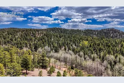 16 View Circle, Florissant, CO 80816 - Photo 21
