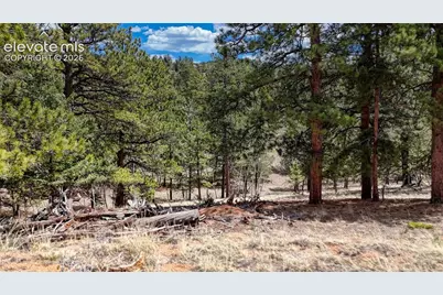 16 View Circle, Florissant, CO 80816 - Photo 13