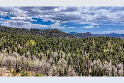 16 View Circle, Florissant, CO 80816 - Photo 19