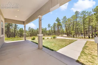 13355 Pinery Drive, Colorado Springs, CO 80908 - Photo 3