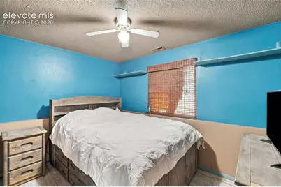 317 Trapper Lane, Fountain, CO 80817 - Photo 13