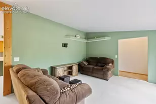 350 Brooks Ln, Woodland Park, CO 80863 - Photo 3