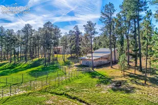 12295 Domino Way, Colorado Springs, CO 80908 - Photo 43