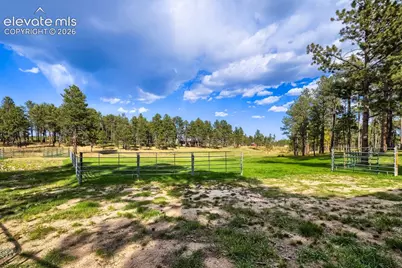 12295 Domino Way, Colorado Springs, CO 80908 - Photo 41