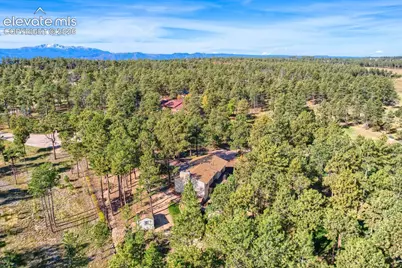 12295 Domino Way, Colorado Springs, CO 80908 - Photo 47