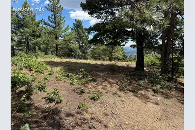 276 Crystal Park Road, Manitou Springs, CO 80829 - Photo 29