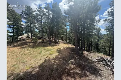 276 Crystal Park Road, Manitou Springs, CO 80829 - Photo 23