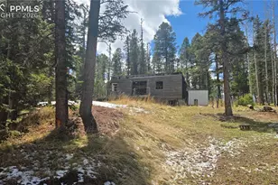 129 Mt Elbert Rd, Florissant, CO 80816 - Photo 1