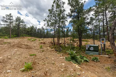 8719 Ponderosa Pine Drive, Beulah, CO 81023 - Photo 5