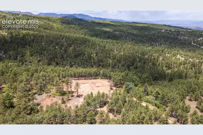 8719 Ponderosa Pine Drive, Beulah, CO 81023 - Photo 13