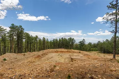 8719 Ponderosa Pine Drive, Beulah, CO 81023 - Photo 11