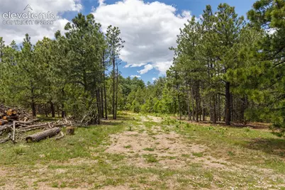 8719 Ponderosa Pine Drive, Beulah, CO 81023 - Photo 1