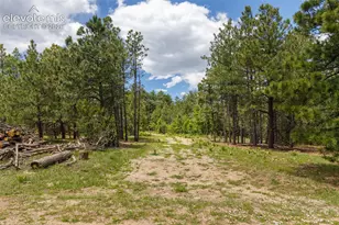 8719 Ponderosa Pine Dr, Beulah, CO 81023 - Photo 1
