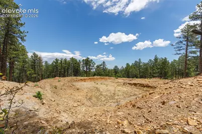 8719 Ponderosa Pine Drive, Beulah, CO 81023 - Photo 7