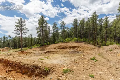 8719 Ponderosa Pine Drive, Beulah, CO 81023 - Photo 9