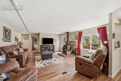 1299 Pikes Peak Drive, Florissant, CO 80816 - Photo 5