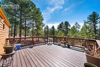 1299 Pikes Peak Drive, Florissant, CO 80816 - Photo 3