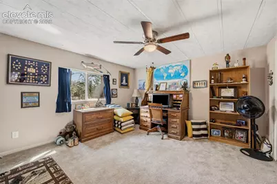 1299 Pikes Peak Drive, Florissant, CO 80816 - Photo 17