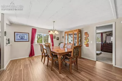 1299 Pikes Peak Drive, Florissant, CO 80816 - Photo 7