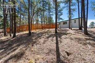 1299 Pikes Peak Dr, Florissant, CO 80816 - Photo 23