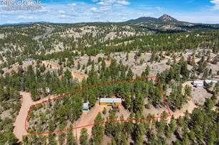 1299 Pikes Peak Dr, Florissant, CO 80816 - Photo 29