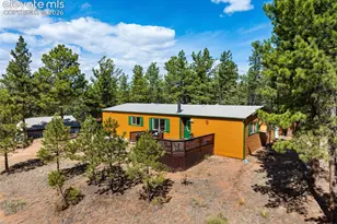 1299 Pikes Peak Dr, Florissant, CO 80816 - Photo 27