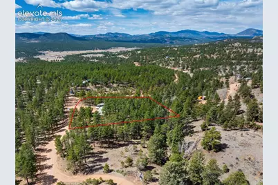 1299 Pikes Peak Drive, Florissant, CO 80816 - Photo 33