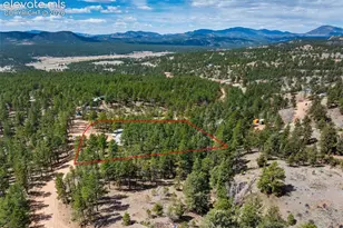 1299 Pikes Peak Dr, Florissant, CO 80816 - Photo 33
