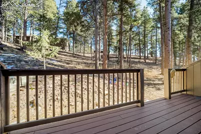 554 Manor Court #C, Woodland Park, CO 80863 - Photo 25