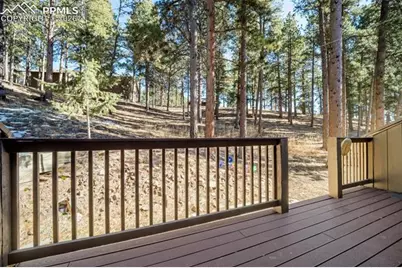 554 Manor Court #C, Woodland Park, CO 80863 - Photo 25