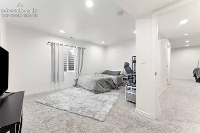 1442 Lookout Springs Drive, Colorado Springs, CO 80921 - Photo 29