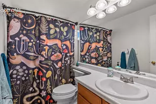 6348 La Plata Peak Dr, Colorado Springs, CO 80923 - Photo 21