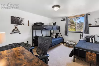 243 Lakewood Drive, Woodland Park, CO 80863 - Photo 29