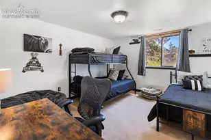 243 Lakewood Dr, Woodland Park, CO 80863 - Photo 29